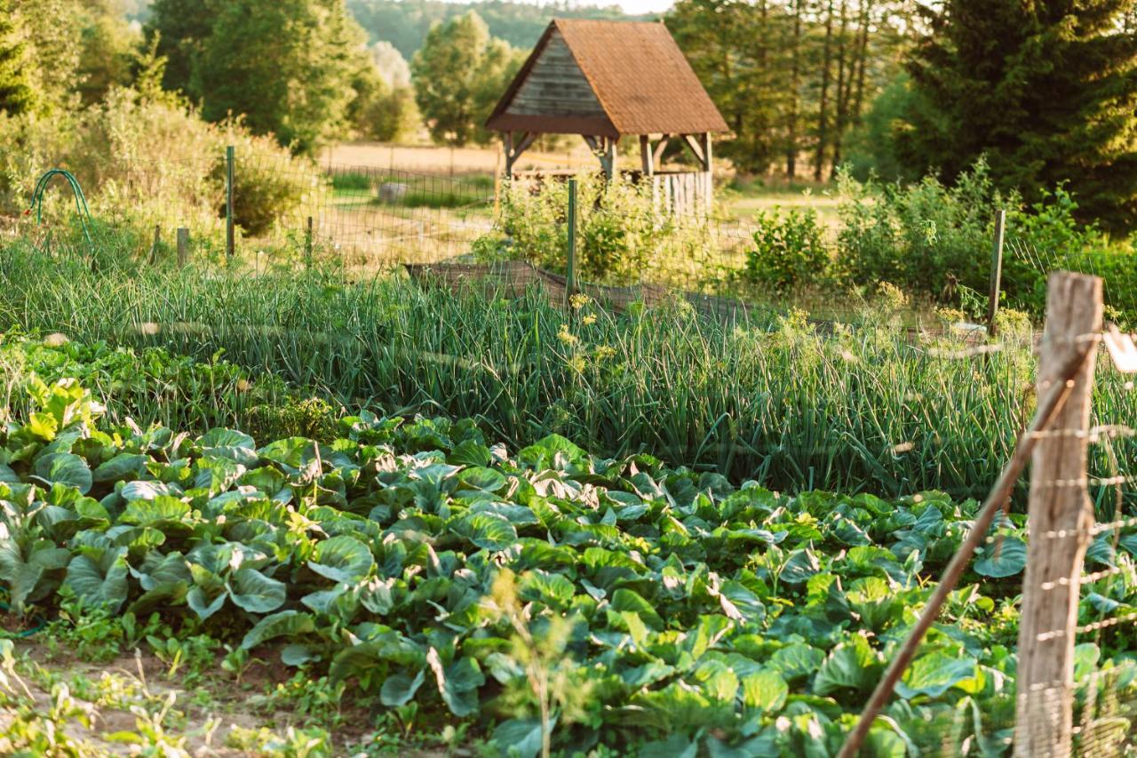 Czar Podlasia Agroturystyka Oslowo  Esterno foto